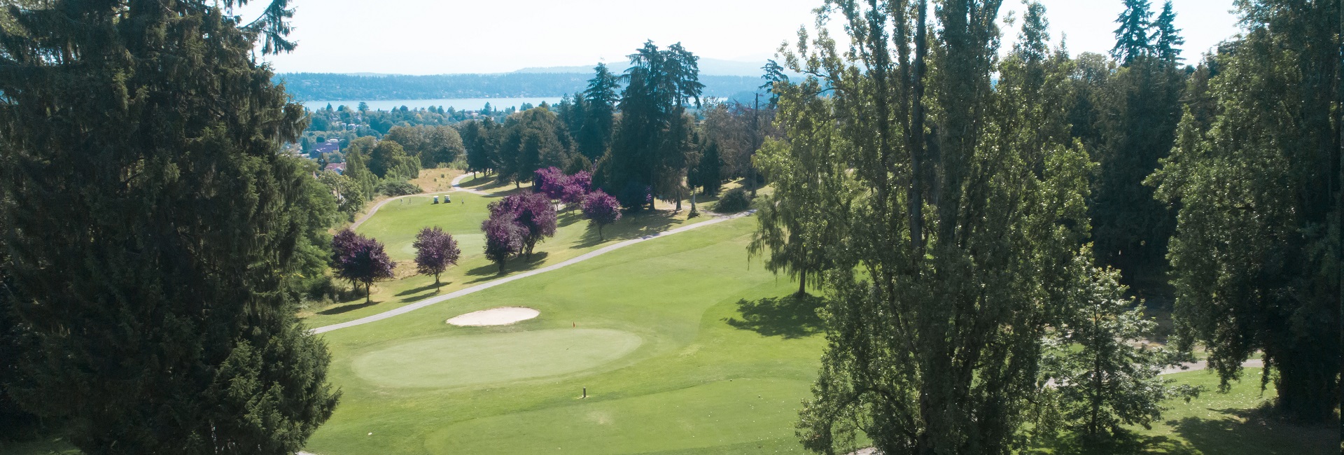 View of golf course with trees and bunker in distance