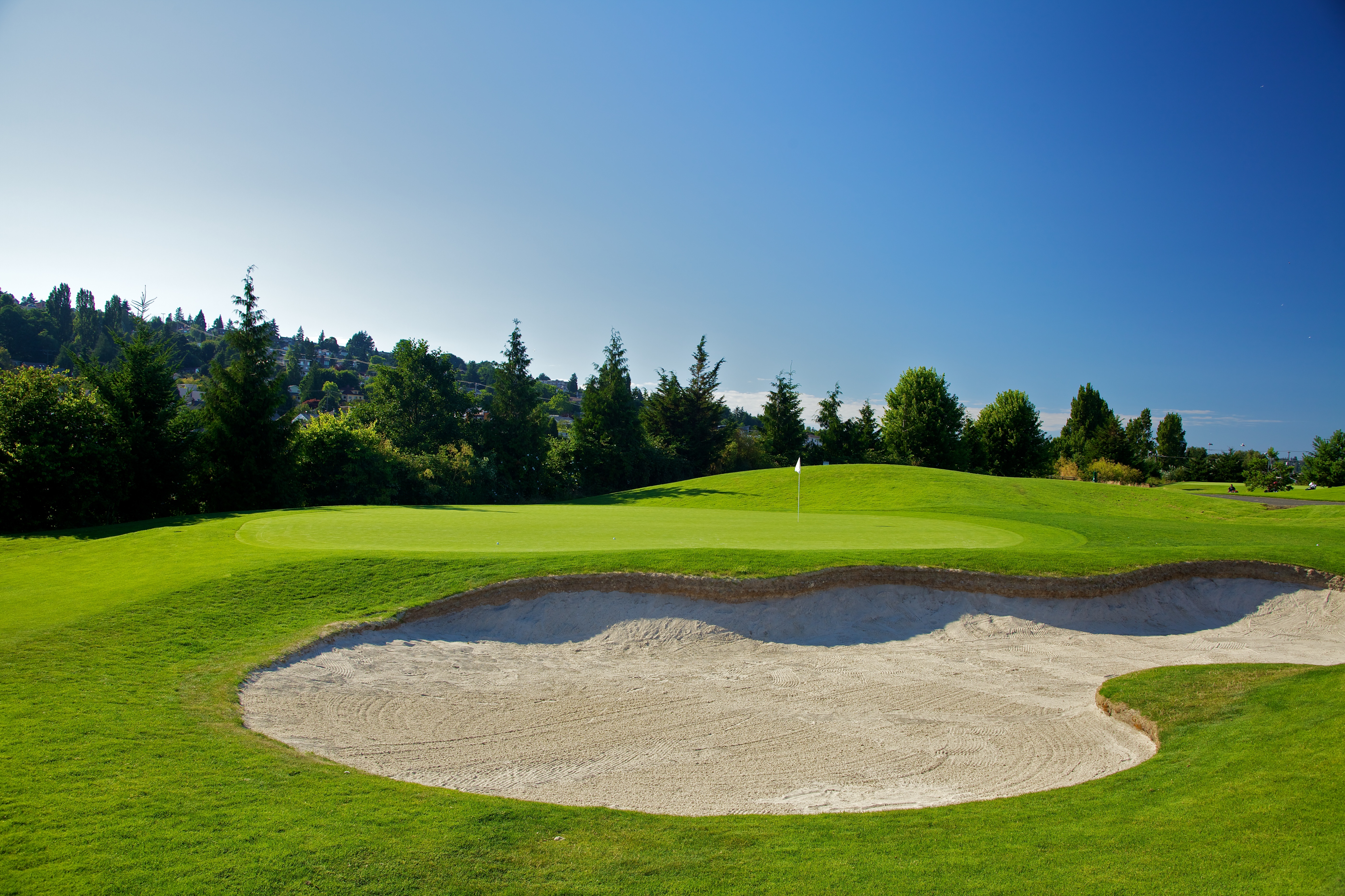 Hole 7 of golf course
