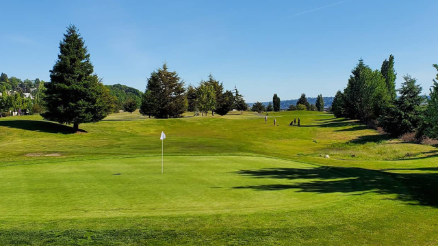 White flag on golf course with trees in distance