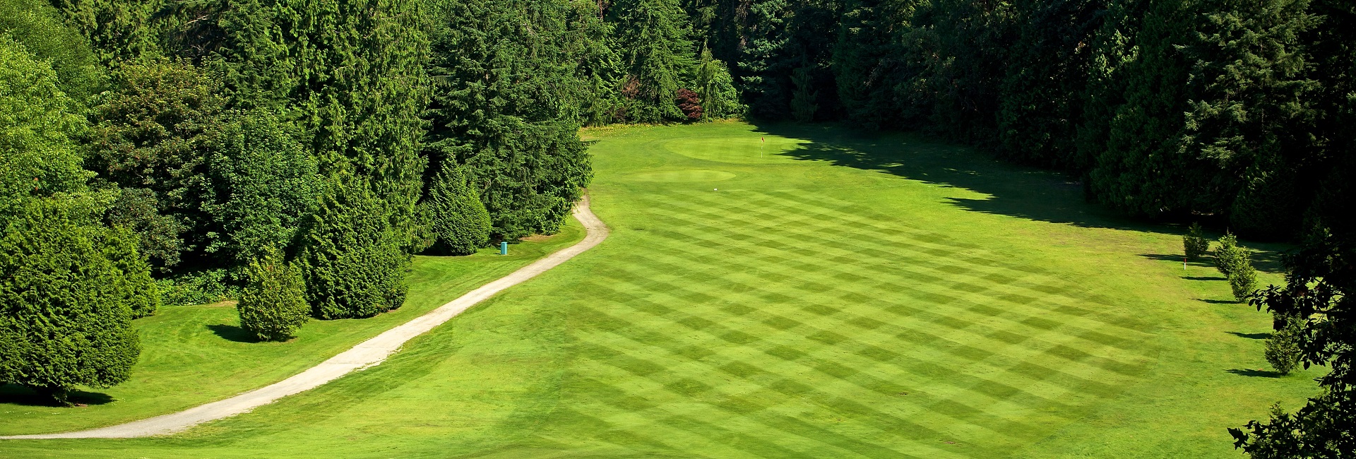 Manicured golf course greens
