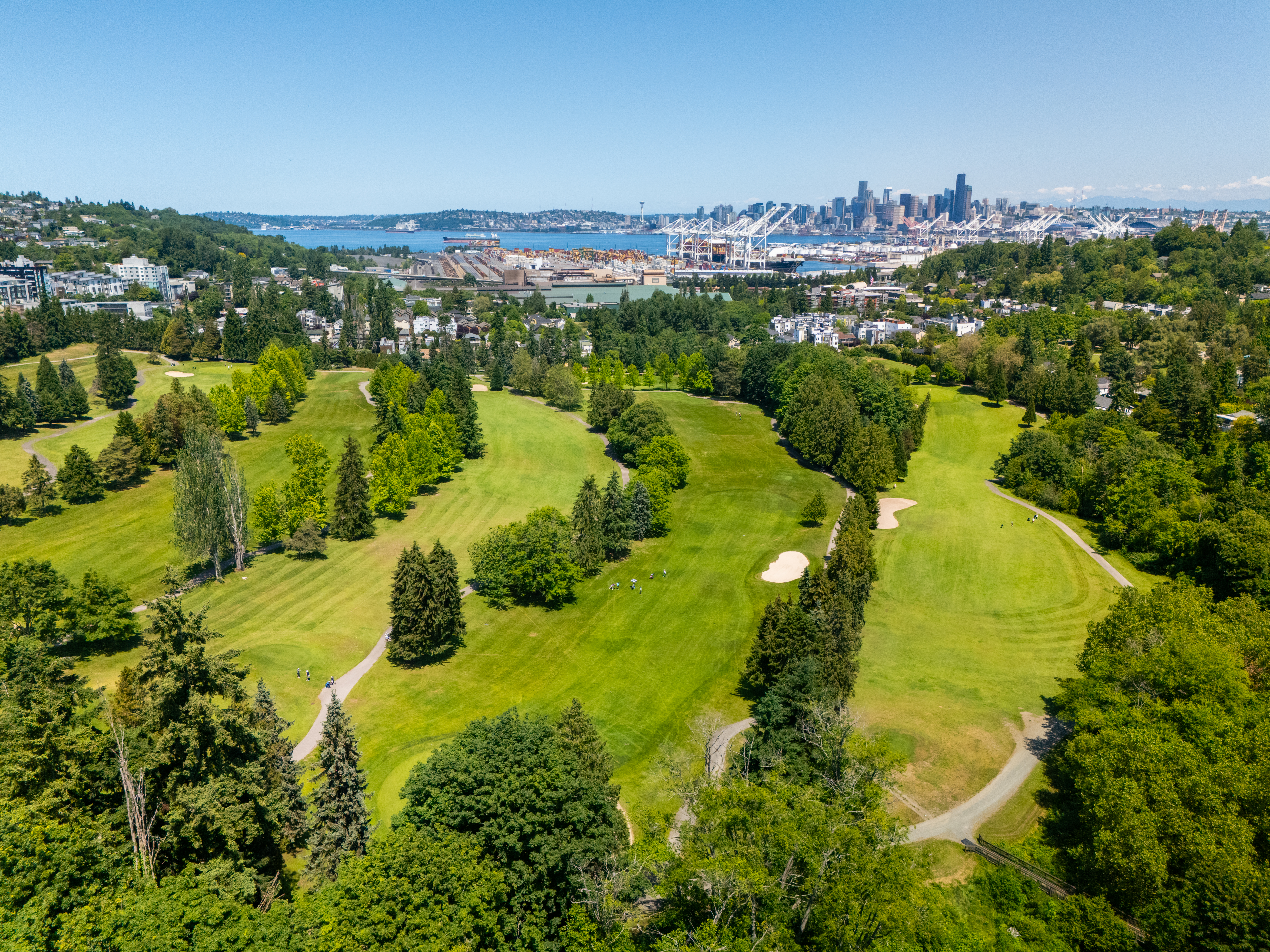 Golf course fairway - aerial view