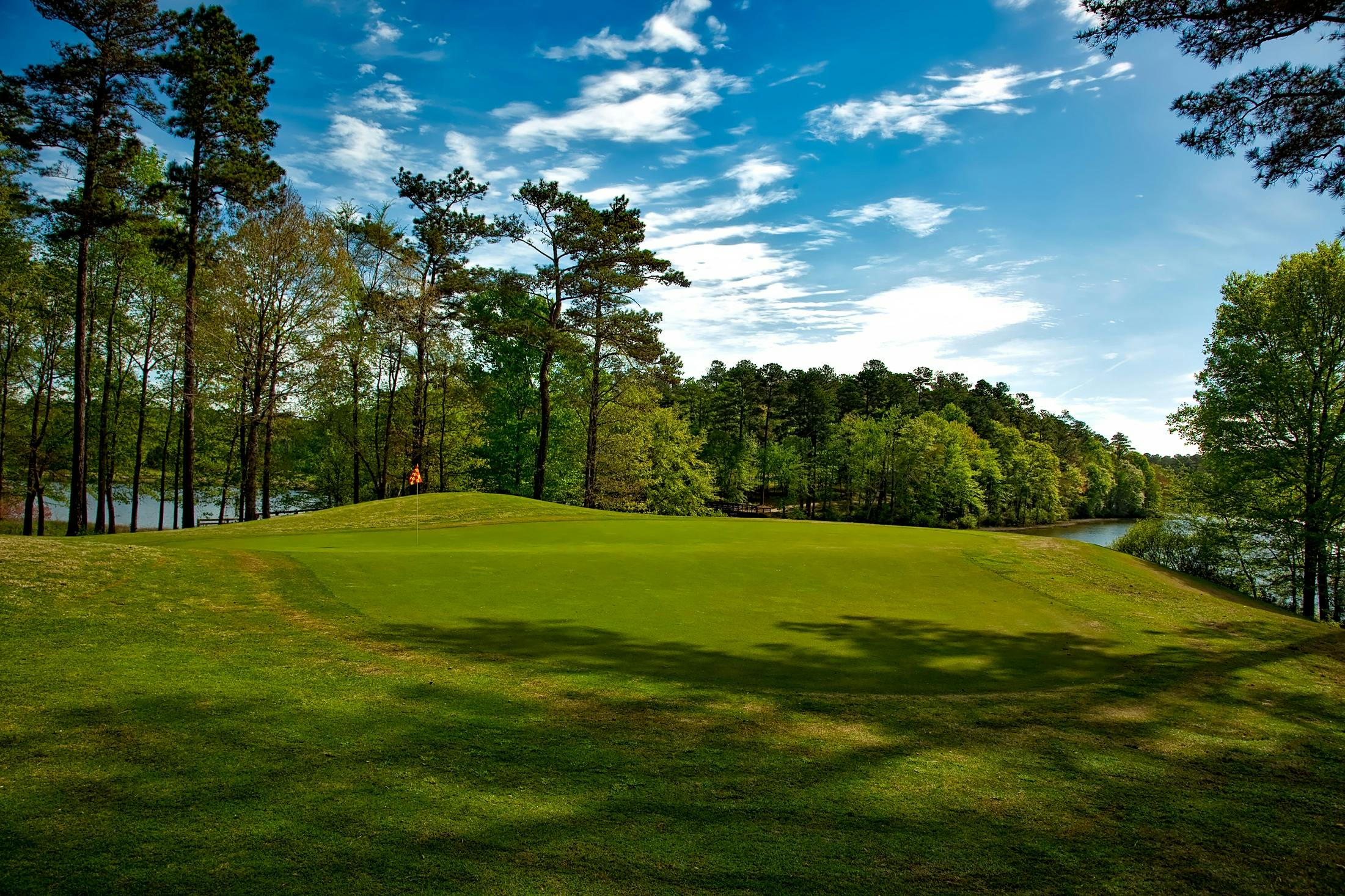 Golf course green with trees