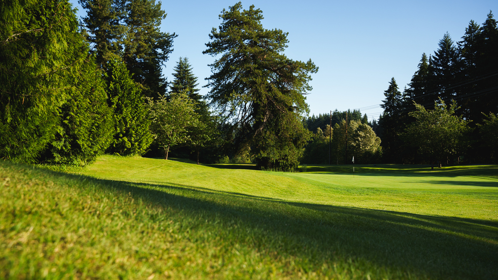 golf-green-surrounded-by-trees