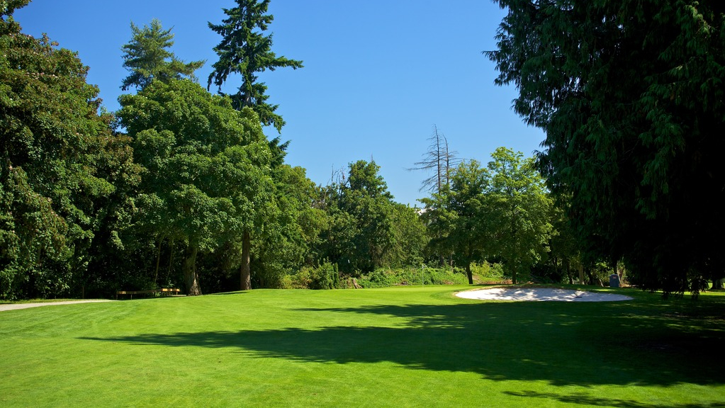 approach-to-golf-green-with-tall-trees-and-blue-skies